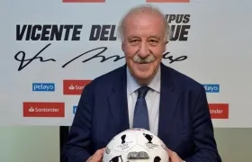 El exseleccionador español, Vicente del Bosque.