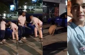 Momentos de la agresión y foto en vida de Nayar José Romero Maldonado.