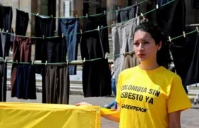 Una mujer protesta en el Congreso contra el asbesto.