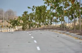 Imagen de la carrera 65.