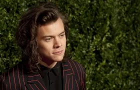 Harry Styles, cantante británico.