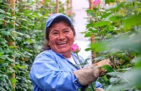 La Viceministra de Asuntos Agropecuarios del Ministerio de Agricultura, Marcela Ureña Gómez, destacó que “el sector floricultor genera aproximadamente 90.000 empleos rurales formales directos, especialmente a madres cabezas de familia”.