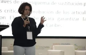 Natasha Avendaño, Superintendente de Servicios.