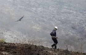 Funcionario de la Oficina de Gestión del Riesgo inspeccionando zona del incendio.