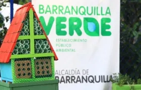 Primer ‘hotel para polinizadores’ en el Jardín Botánico de la ciudad.