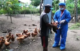 Inicio de la jornada de vacunación.