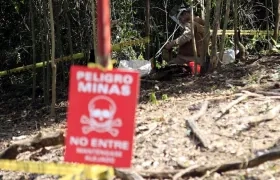 Un total de 221 personas fueron víctimas de minas antipersona
