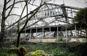 Recinto de los monos después del incendio.