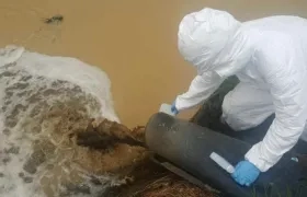 Visita de la Fiscalía a relleno Doña Juana.