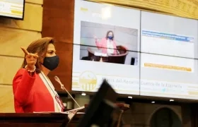 La senadora del Centro Democrático, María del Rosario Guerra.