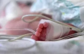 Foto para ilustrar la nota.