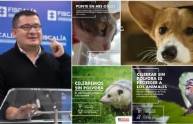 Campaña Ponte en mis oídos fue explicada por el coordinador de la Gelma de la Fiscalía, Alejandro Gaviria.