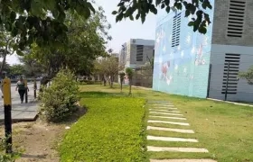 Aspecto que presenta el sector.