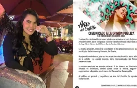 Ana del Castillo, cantante vallenata.