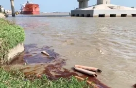 Imagen del aceite en cercanías a la bocatoma.
