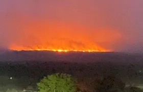 Magnitud del daño causado por las manos criminales.