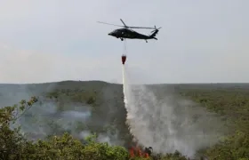 Fiscalía pide protección a la Amazonía colombiana.