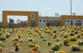 Barranquilla, Cementerio Los Olivos.
