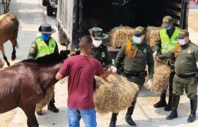 Entrega de pasto en el suroccidente de Barranquilla.
