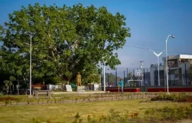 Plaza Principal de Santo Tomás