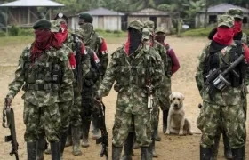 Imagen de referencia del ELN.