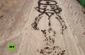 Homenaje a médicos