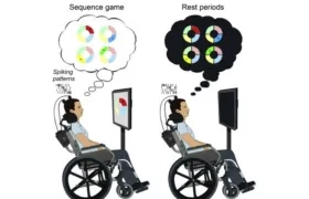  Los participantes descansaban, jugaban y volvían a descansar.