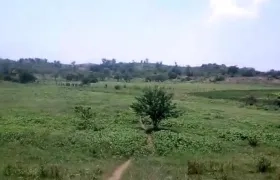 La zona de reserva natural 'La Montañita'.