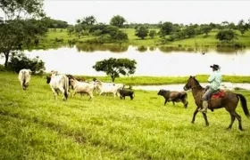 En el curso de la investigación se demostró que Lacouture Armenta declaró la inexistencia de la ciénaga de Amanzaguapos, Dividivi y Caño Viloria.