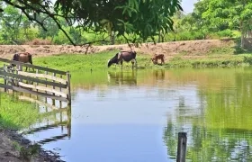 El objetivo es crear las condiciones para la reactivación económica.