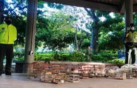 Animales incautados.