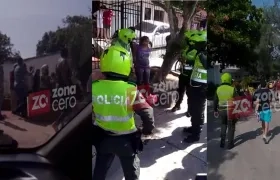 Momento de la captura de la raptora del recién nacido.