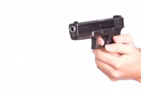 Argentina y Colombia son los países que informaron del mayor número de armas incautadas.