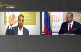 Imagen de la sesión virtual.