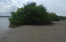 Ciénaga de Mallorquín.