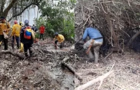 Imágenes del trabajo para sofocar el incendio forestal.