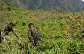 Los fallecidos son tres soldados y un suboficial.