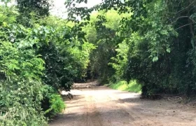 La zona protegida está ubicada en Usiacurí, Atlántico.
