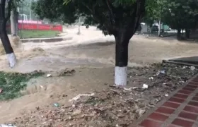 Arroyo 'El Salao' en Moras IV etapa. 