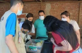 El Zoológico de Barranquilla recibió acreditación internacional.