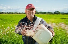 Crisis del sector afectaría a 16 mil 400 cultivadores del grano.
