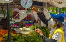 Variada oferta de frutas y verduras en Mercado a tu barrio.
