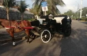 Los famosos coches de Cartagena desaparecerían.