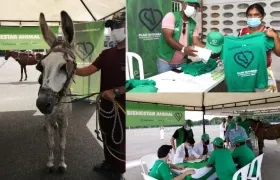Avanza Plan Integral de Sustitución de Vehículos de Tracción Animal.