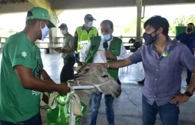 Distrito hizo entrega de insumos para las nuevas unidades de negocio de los primeros 30 carromuleros.