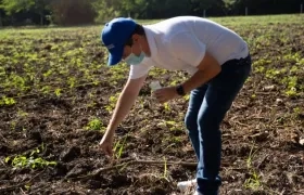 Miguel Vergara, secretario de Desarrollo Económico.