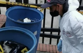 Hallazgo de animales muertos. 