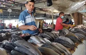 Subienda de bocachico en Barranquilla