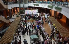 Edición anterior de PetLovers.