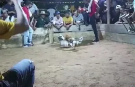 Momento de los hechos